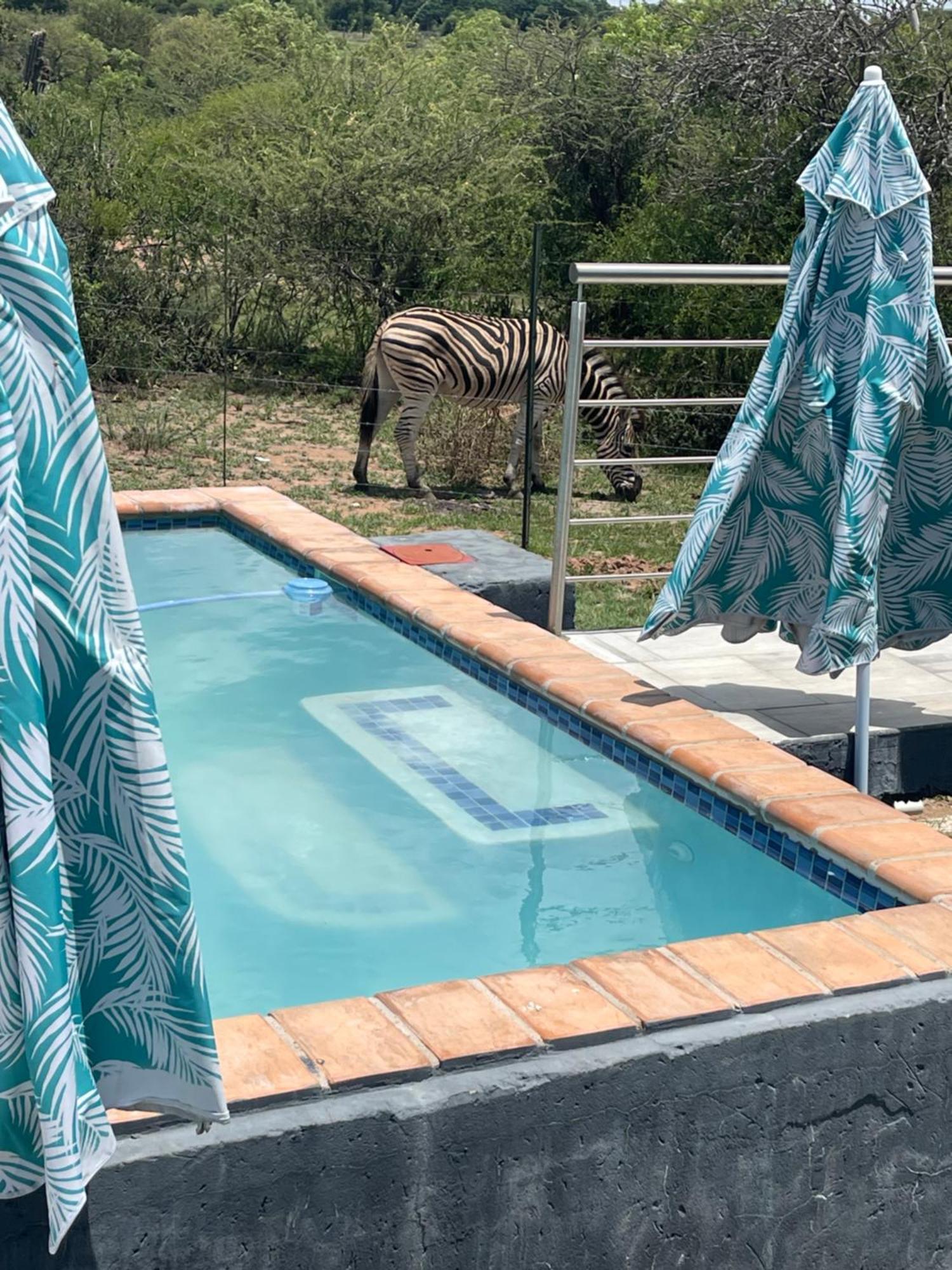 Kings View Exclusive Villas Pretoria-Noord Zewnętrze zdjęcie